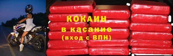дживик Верея