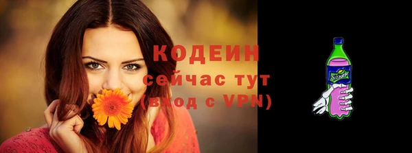 бошки Богородицк